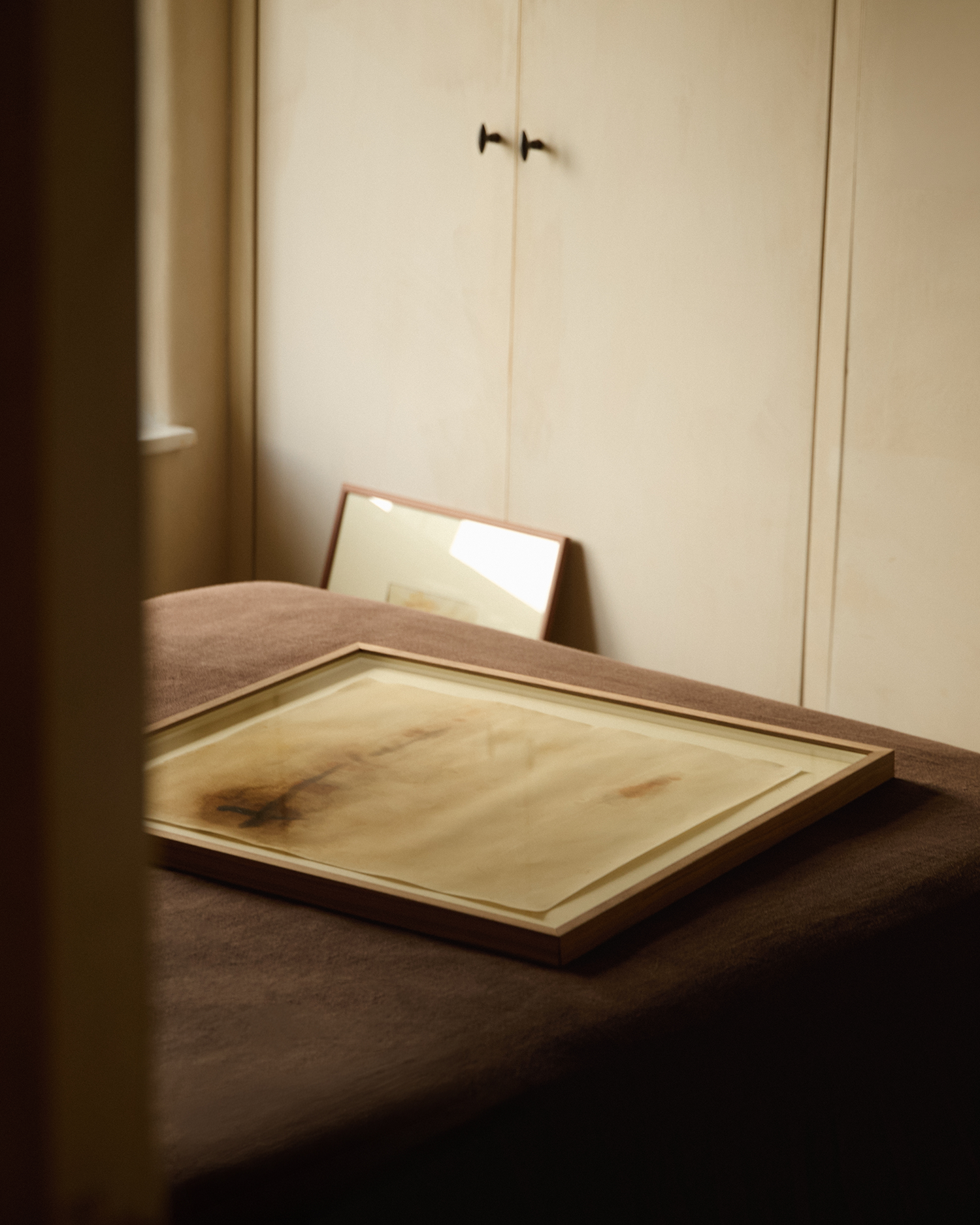 Autumn Trees In The Distance I