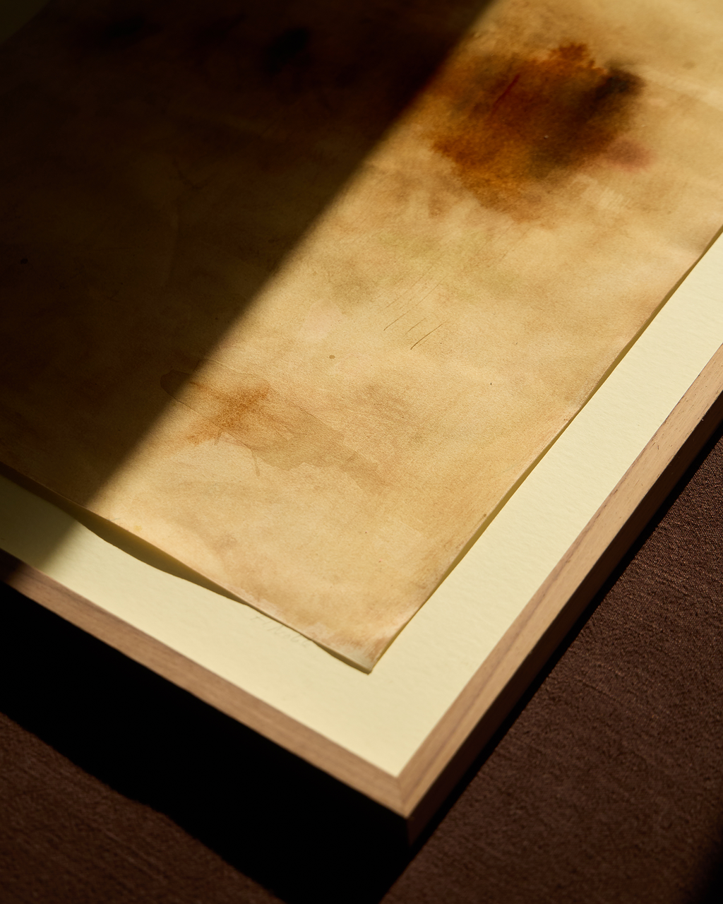 Autumn Trees In The Distance II, 2026